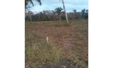 VENTA FINCA COLÓN