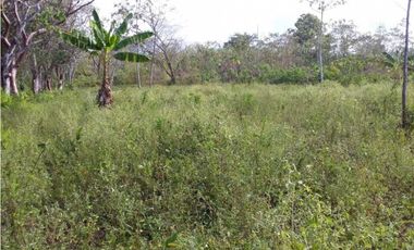 VENTA FINCA COLÓN