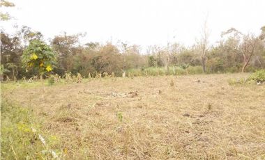 VENTA FINCA COLÓN