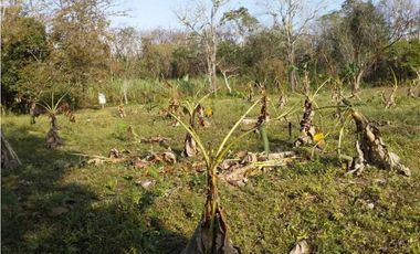 VENTA FINCA COLÓN