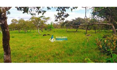 Se vende espectacular finca en Dos Ríos, Dolega.