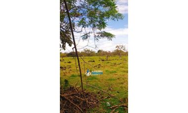 Se vende espectacular finca en Dos Ríos, Dolega.