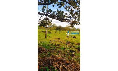 Se vende espectacular finca en Dos Ríos, Dolega.