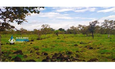 Se vende espectacular finca en Dos Ríos, Dolega.
