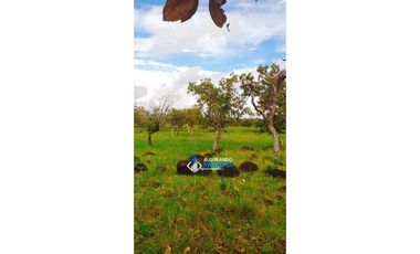 Se vende espectacular finca en Dos Ríos, Dolega.