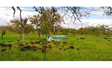 Se vende espectacular finca en Dos Ríos, Dolega.