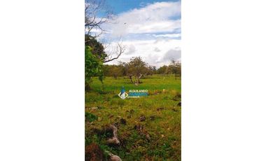 Se vende espectacular finca en Dos Ríos, Dolega.