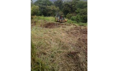 VENTA TERRENO CHAME
