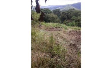 VENTA TERRENO CHAME