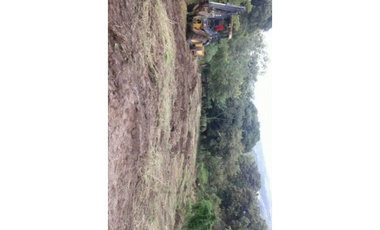 VENTA TERRENO CHAME