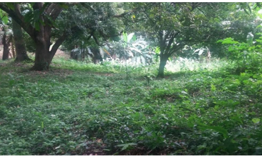 VENTA TERRENO CHAME