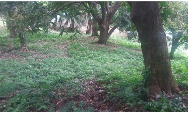 VENTA TERRENO CHAME