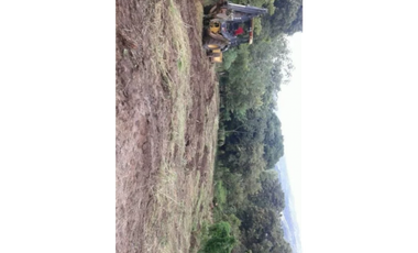 VENTA TERRENO CHAME