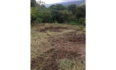 VENTA TERRENO CHAME