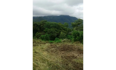 VENTA TERRENO CHAME