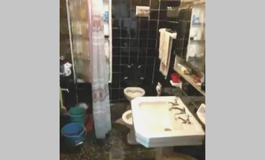 OPORTUNIDAD, A REFACCIONAR - PH en Venta en Parque Chacabuco 5 ambientes 4 dormitorios 2 baños 92 m2 contrafrente 2 plantas - Doblas 1000