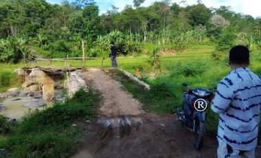 180 Juta Dapat Tanah seluas 100 Meter