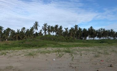 Isla de la Piedra 120000 m2 de terreno en la playa