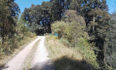 Terrenos boscosos a un lado de La Marquesa