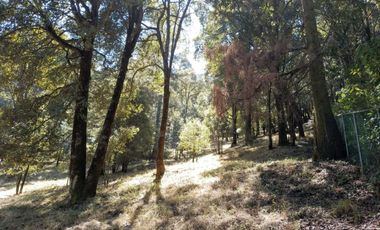 Terrenos boscosos a un lado de La Marquesa