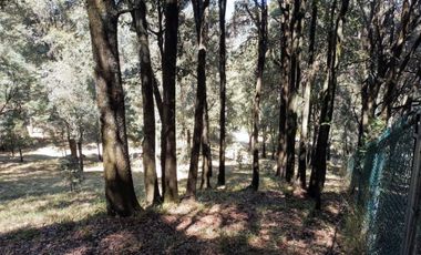 Terrenos boscosos a un lado de La Marquesa
