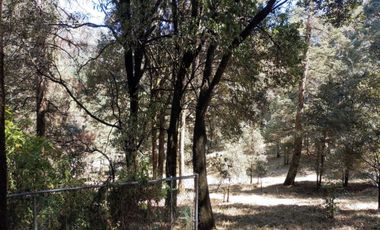Terrenos boscosos a un lado de La Marquesa
