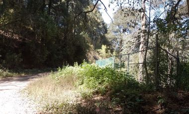 Terrenos boscosos a un lado de La Marquesa