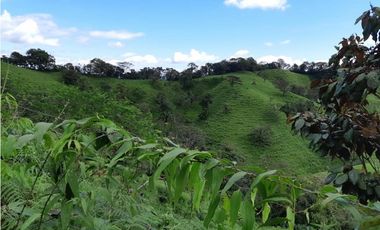 Se VENDE Terreno - Tolé / Chiriquí