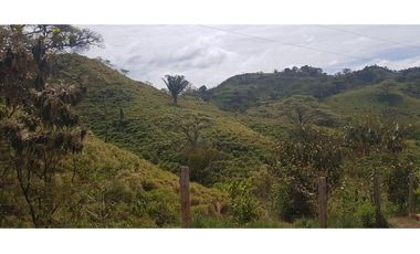 Se VENDE Terreno - Tolé / Chiriquí