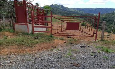 Se VENDE Terreno - Tolé / Chiriquí