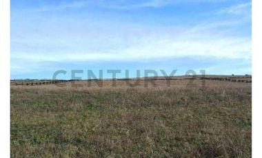 VENTA PARCELA LAGO RANCO CONDOMINIO ORILLA LAGO