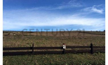 VENTA PARCELA LAGO RANCO CONDOMINIO ORILLA LAGO