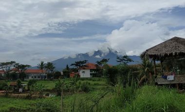 Rumah Syariah Dekat Wisata Taman Nasional Bogor