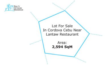 2594 SqM Lot For Sale In Cordova Cebu
