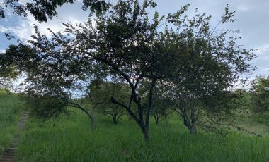 lote en venta en parcelación campestre laguna seca. Cod V107408