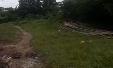Tanah Cocok untuk Cluster Perumahan di Rangkas Bitung, Banten 4127