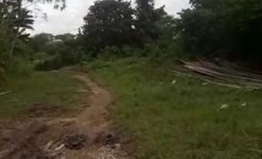 Tanah Cocok untuk Cluster Perumahan di Rangkas Bitung, Banten 4127