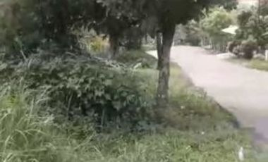 Tanah Cocok untuk Cluster Perumahan di Rangkas Bitung, Banten 4127