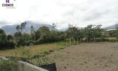 Venta de casa con terreno en Cotacachi sector San Martin