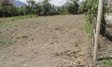 Venta de casa con terreno en Cotacachi sector San Martin