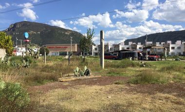 Terreno en venta sobre Boulevard. Napateco