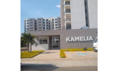 Alquiler Apartamento Piso 10 Conjunto Kamelia, Bochalema.