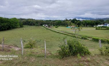 Se vende finca semi urbana en el Carmnende Apicalá apta para desarrollar proyecto campestre