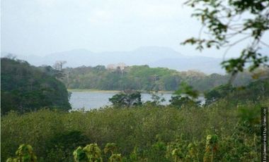 Venta: Finca en Lago Madden / Alajuela