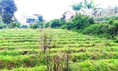 Di Jual Tanah Kebun 2.020 m2 Cocok Untuk Villa di Jl. Pasir Ipis Lembang Bandung