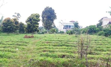 Di Jual Tanah Kebun 2.020 m2 Cocok Untuk Villa di Jl. Pasir Ipis Lembang Bandung