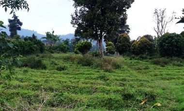 Di Jual Tanah Kebun 2.020 m2 Cocok Untuk Villa di Jl. Pasir Ipis Lembang Bandung