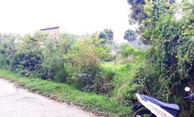 Di Jual Tanah Kebun 2.020 m2 Cocok Untuk Villa di Jl. Pasir Ipis Lembang Bandung