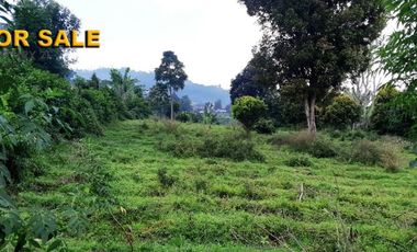 Di Jual Tanah Kebun 2.020 m2 Cocok Untuk Villa di Jl. Pasir Ipis Lembang Bandung