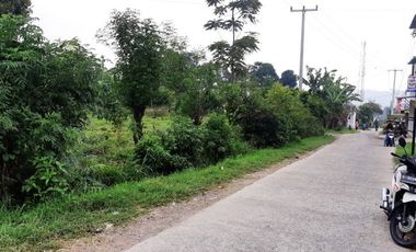 Di Jual Tanah Kebun 2.020 m2 Cocok Untuk Villa di Jl. Pasir Ipis Lembang Bandung